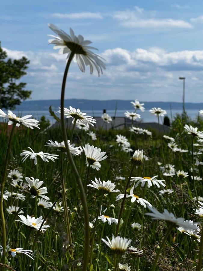 Fantastisk Vaetterutsikt Mellan Habo Och Bankeryd. Villa Eksteriør bilde